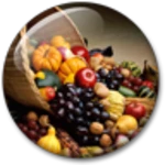 thanksgiving live wallpaper android application logo